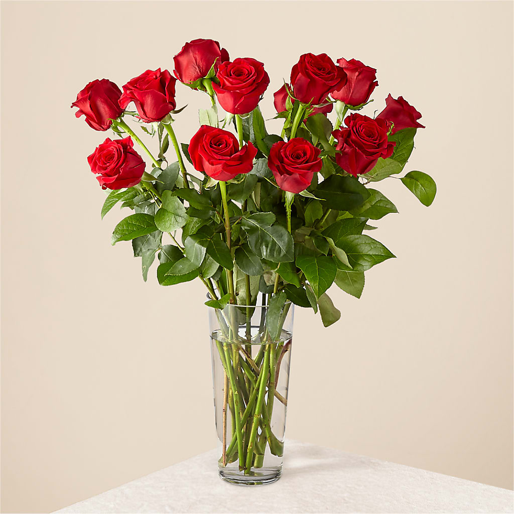 Long Stem Red Rose Bouquet – Overnightflowerdelivery.com, Tontitown AR