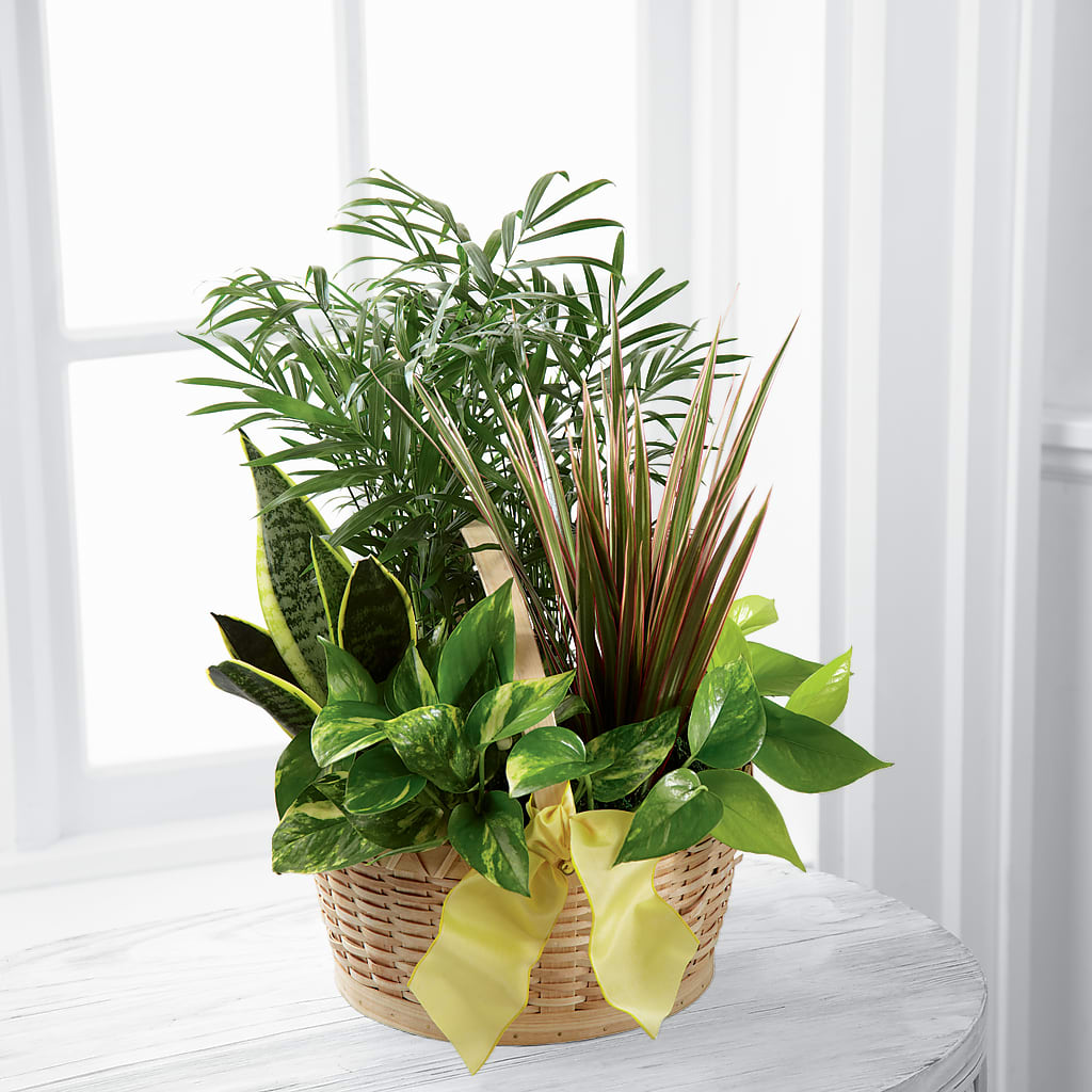 French Garden – Overnightflowerdelivery.com, Tontitown AR