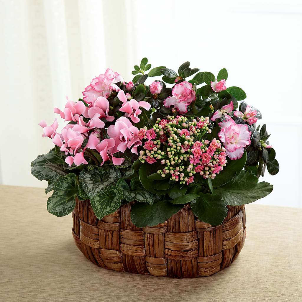 Pink Assortment – Overnightflowerdelivery.com, Tontitown AR