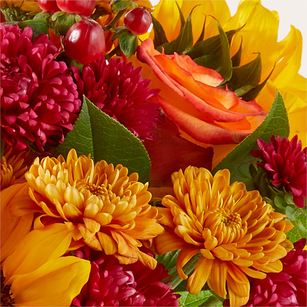 Sweater Season - A Florist Original – Overnightflowerdelivery.com, Tontitown AR