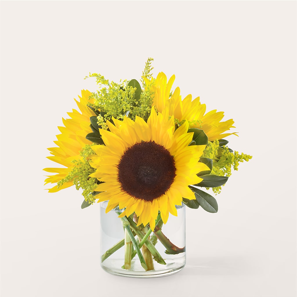 Beaming Sunflower Bouquet – Overnightflowerdelivery.com, Tontitown AR
