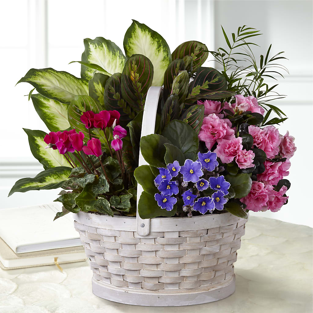 Peaceful Garden Planter – Overnightflowerdelivery.com, Tontitown AR