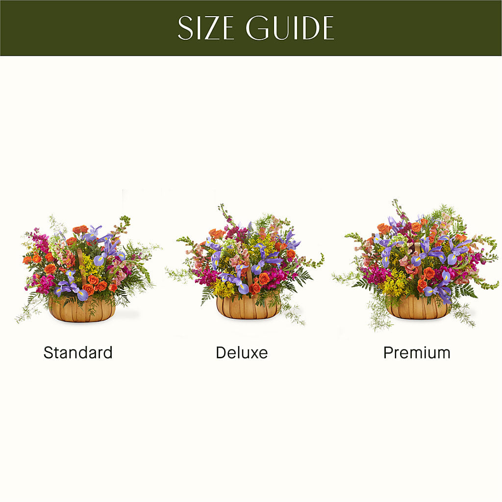 Garden of Life Basket – Overnightflowerdelivery.com, Tontitown AR