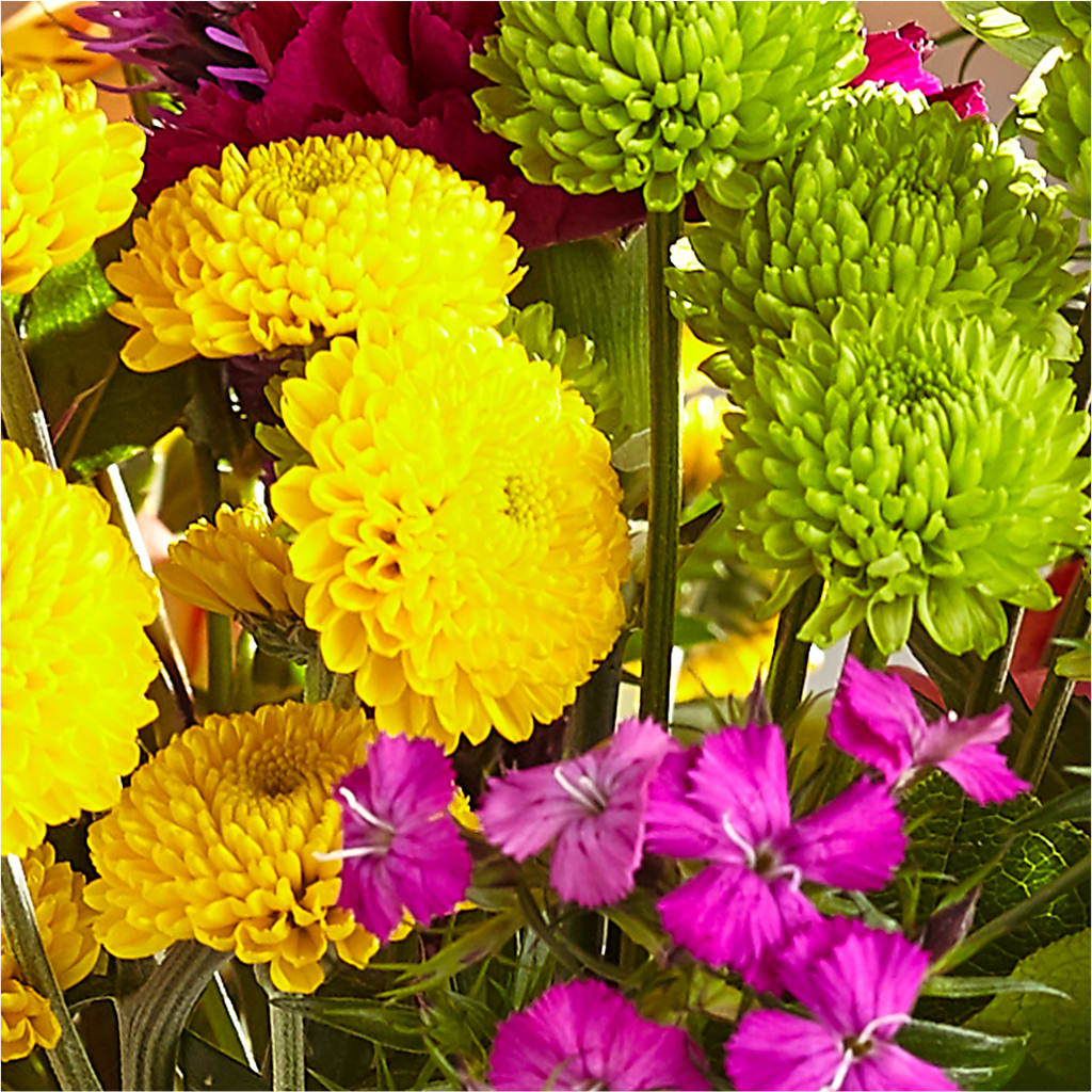 Bold & Bright – A Florist Original –  Overnightflowerdelivery.com, Tontitown AR