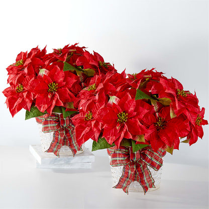 Happiest Holidays Poinsettia Bundle –  Overnightflowerdelivery.com, Tontitown AR