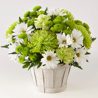 Lucky Charm Basket (Standard) –  Overnightflowerdelivery.com, Tontitown AR