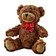 Adorable Plush Bear –  Overnightflowerdelivery.com, Tontitown AR