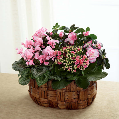Pink Assortment –  Overnightflowerdelivery.com, Tontitown AR