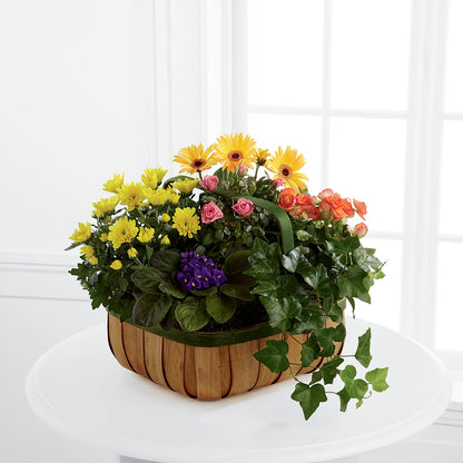 Gentle Blossoms Basket –  Overnightflowerdelivery.com, Tontitown AR