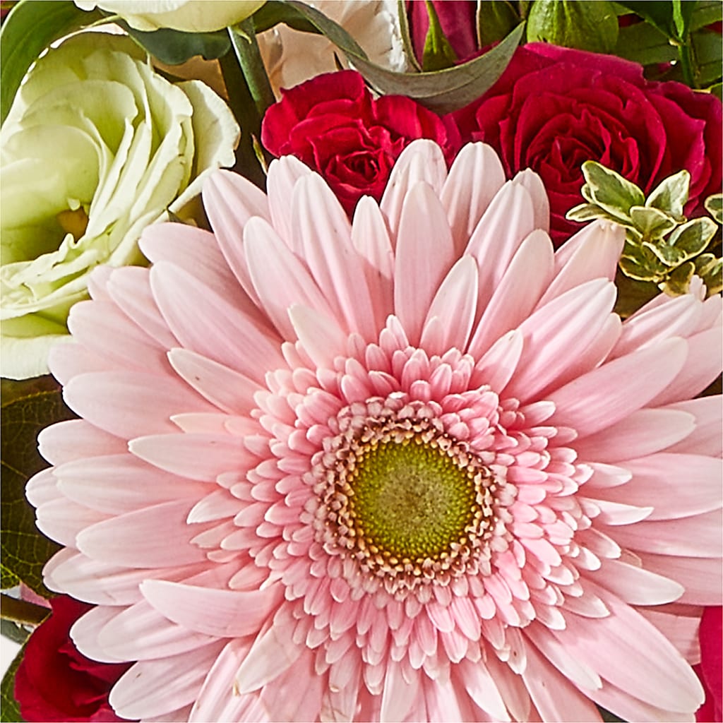 Too Cute Bouquet –  Overnightflowerdelivery.com, Tontitown AR