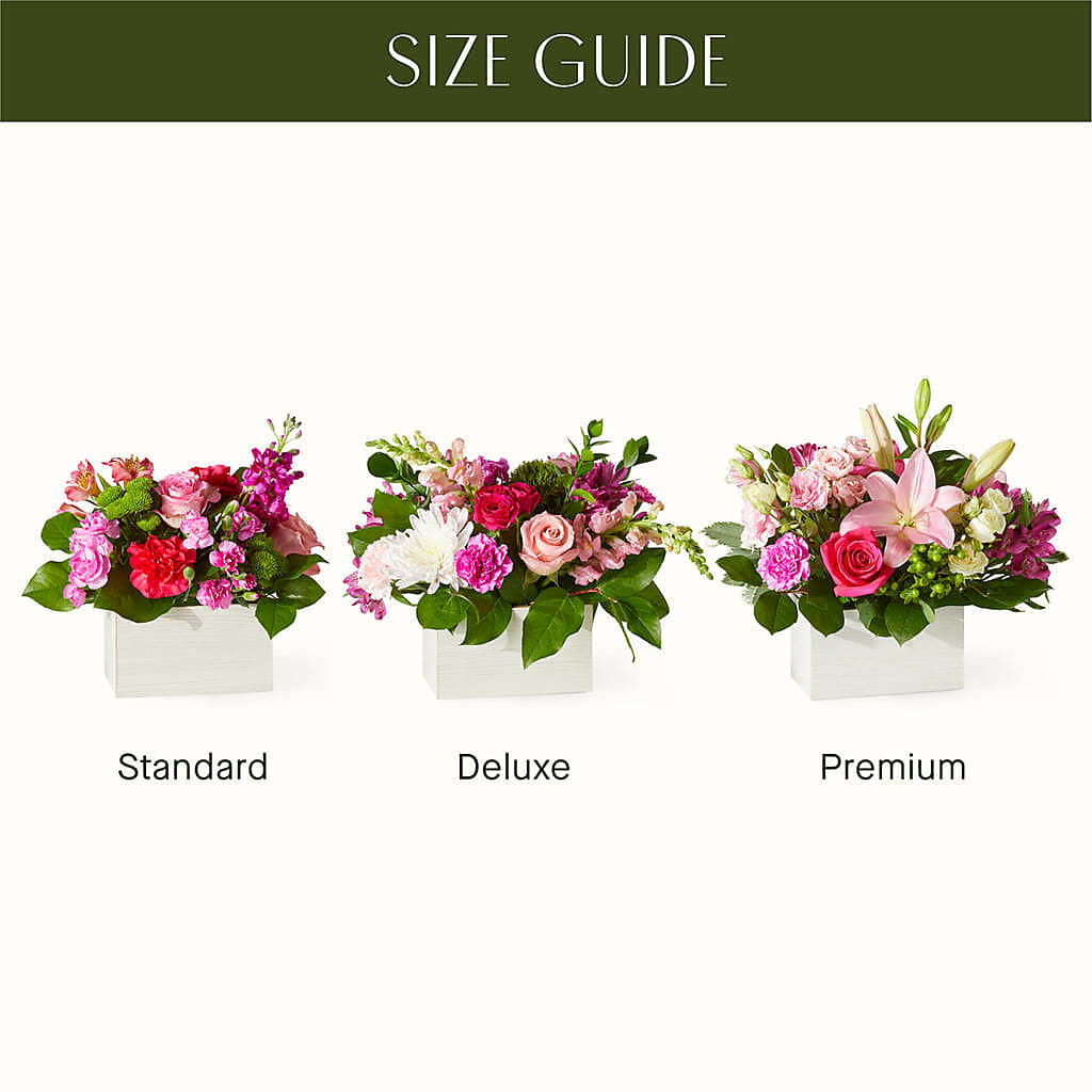 Sweetberry Box – A Florist Original –  Overnightflowerdelivery.com, Tontitown AR