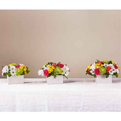Sorbet Bouquet –  Overnightflowerdelivery.com, Tontitown AR