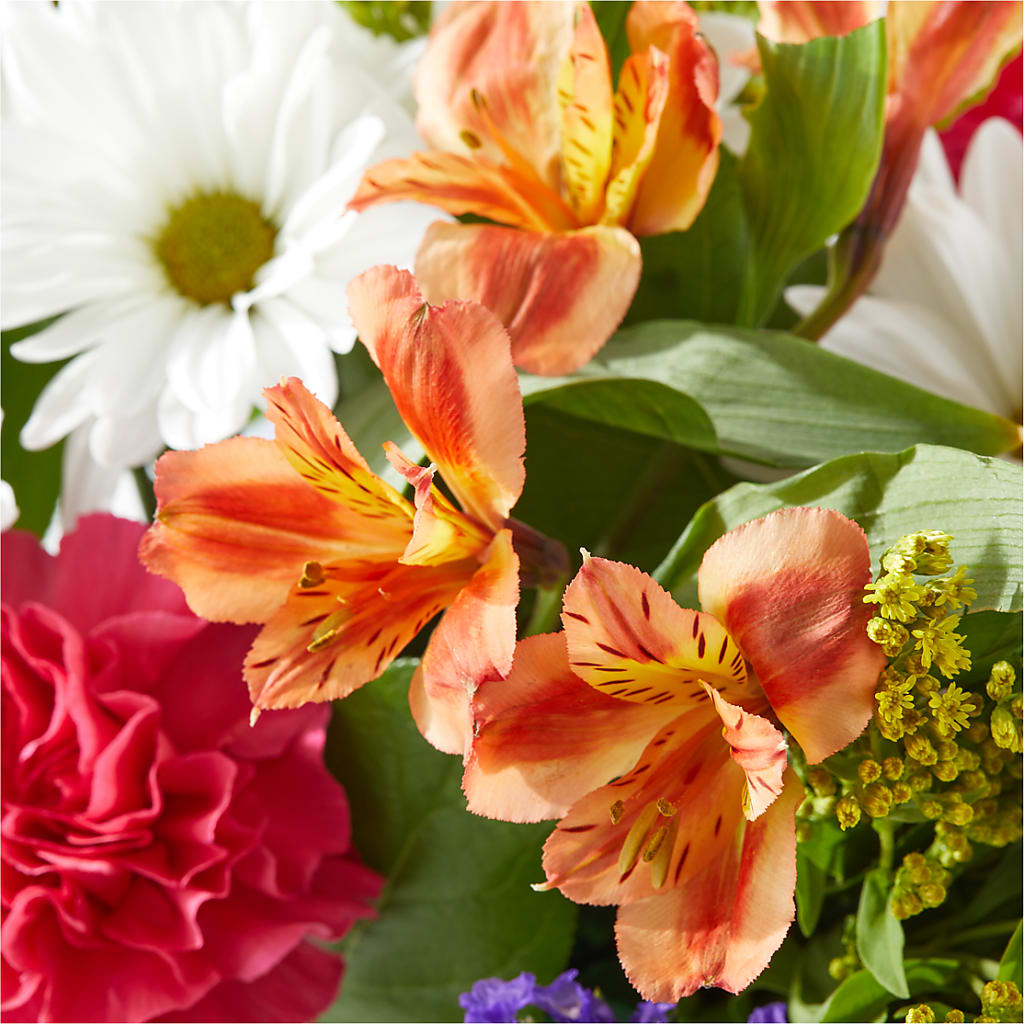 Oopsie Daisy Box Bouquet –  Overnightflowerdelivery.com, Tontitown AR