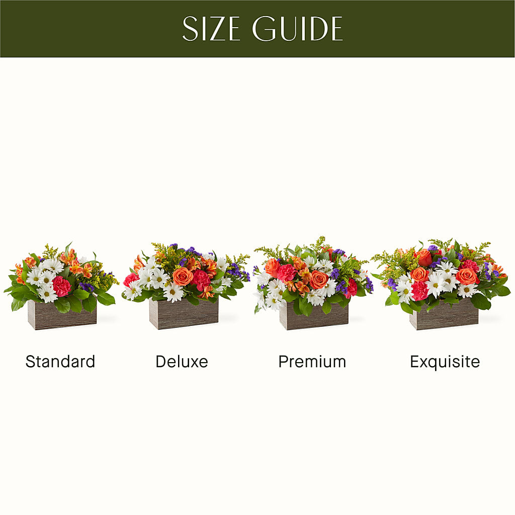 Oopsie Daisy Box Bouquet –  Overnightflowerdelivery.com, Tontitown AR