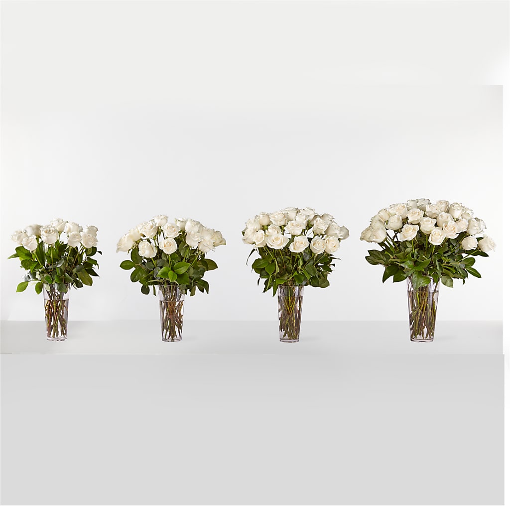 Long Stem White Rose Bouquet –  Overnightflowerdelivery.com, Tontitown AR