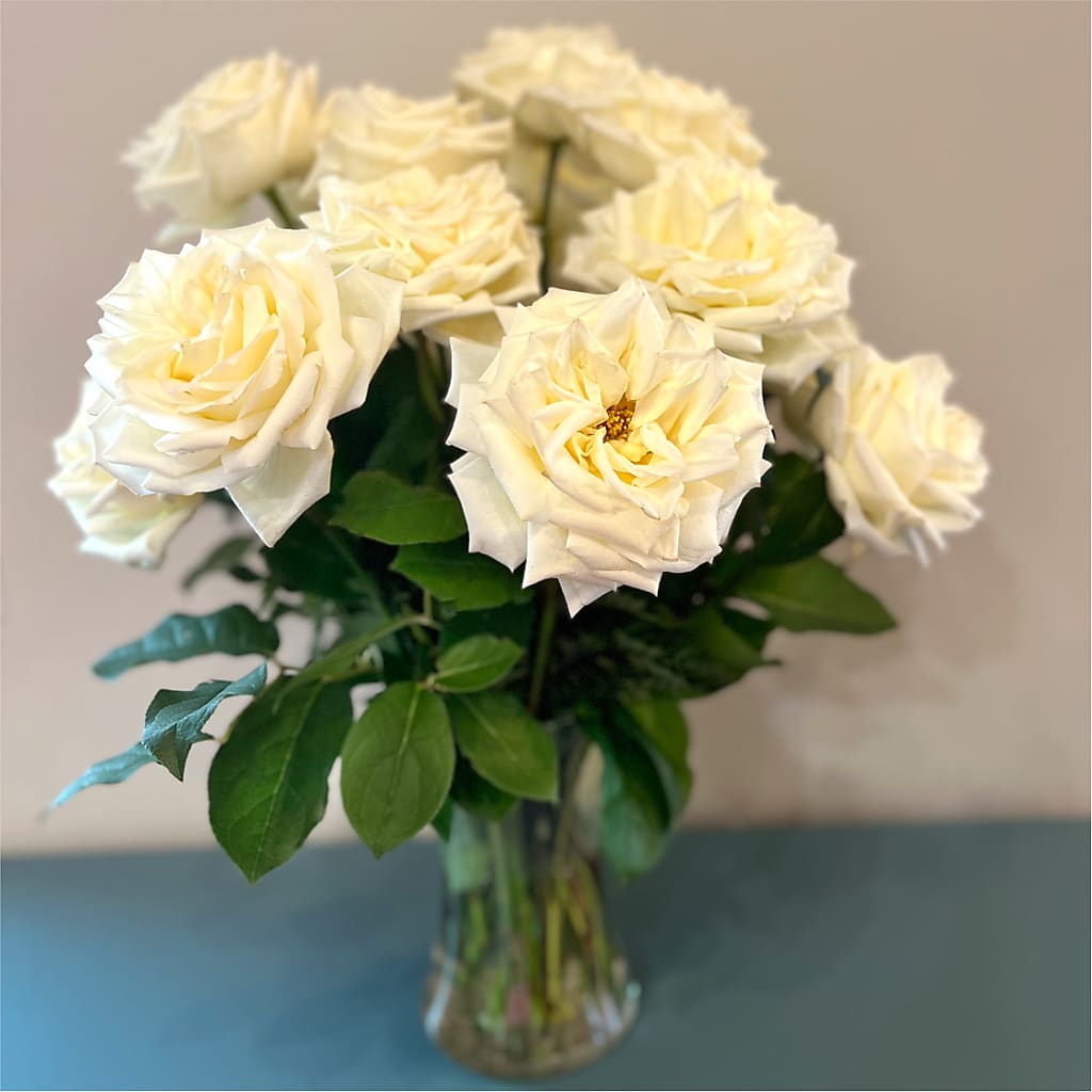 Long Stem Yellow Rose Bouquet –  Overnightflowerdelivery.com, Tontitown AR