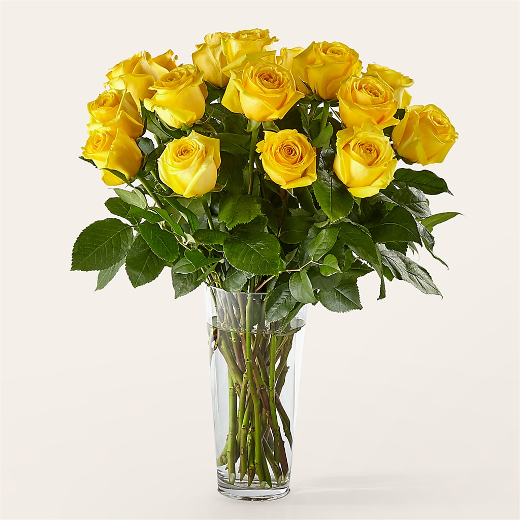 Long Stem Yellow Rose Bouquet –  Overnightflowerdelivery.com, Tontitown AR