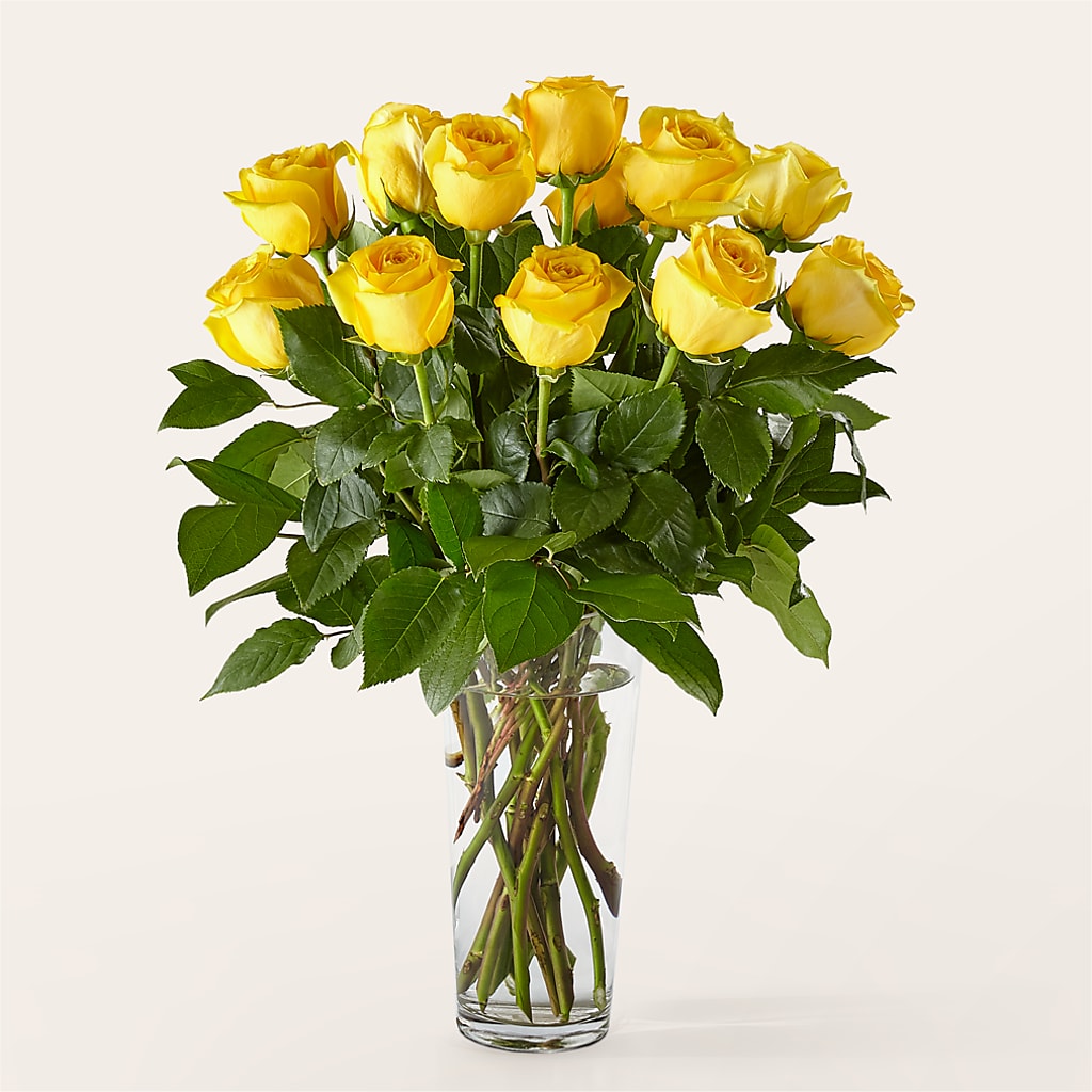 Long Stem Yellow Rose Bouquet –  Overnightflowerdelivery.com, Tontitown AR
