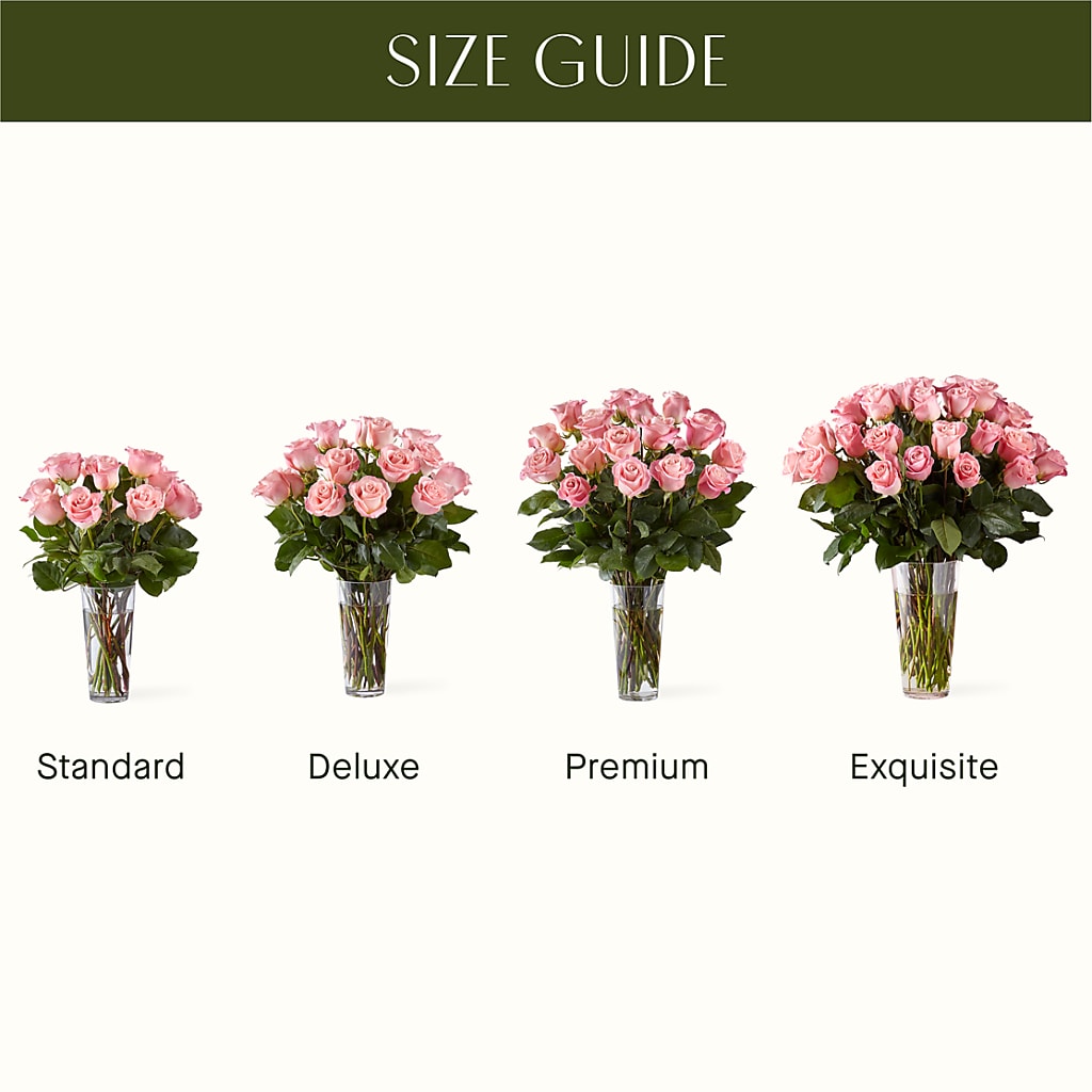 Long Stem Pink Rose Bouquet –  Overnightflowerdelivery.com, Tontitown AR