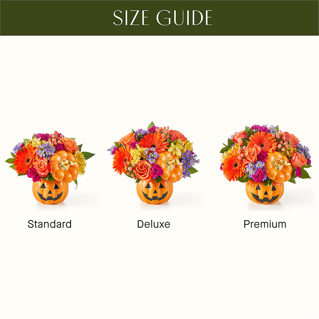 Tricks & Treats Pumpkin –  Overnightflowerdelivery.com, Tontitown AR