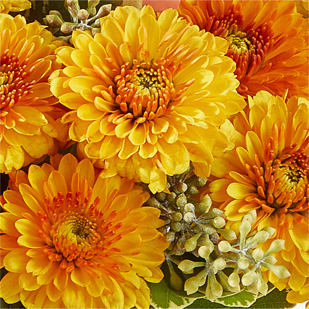 Peachy Pumpkin –  Overnightflowerdelivery.com, Tontitown AR