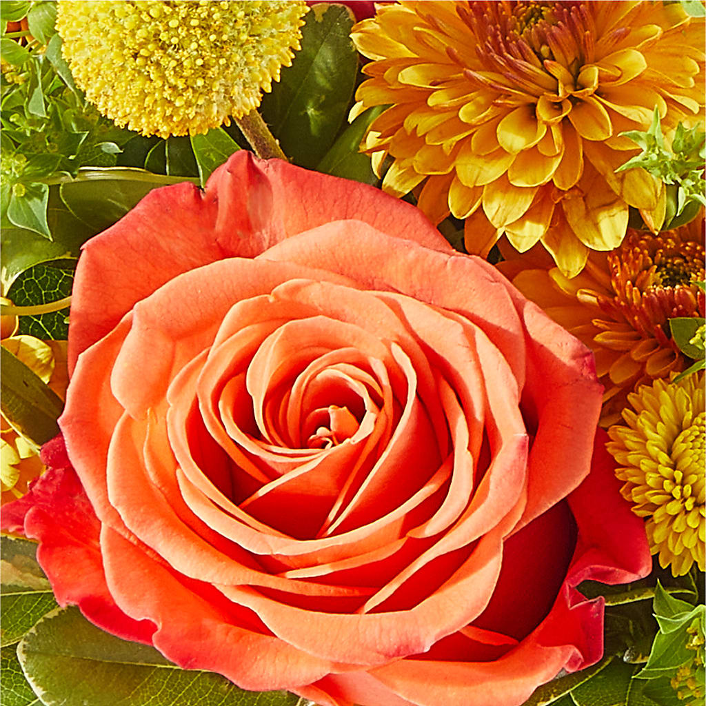 Gourdgeous Pumpkin –  Overnightflowerdelivery.com, Tontitown AR