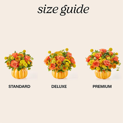 Gourdgeous Pumpkin –  Overnightflowerdelivery.com, Tontitown AR