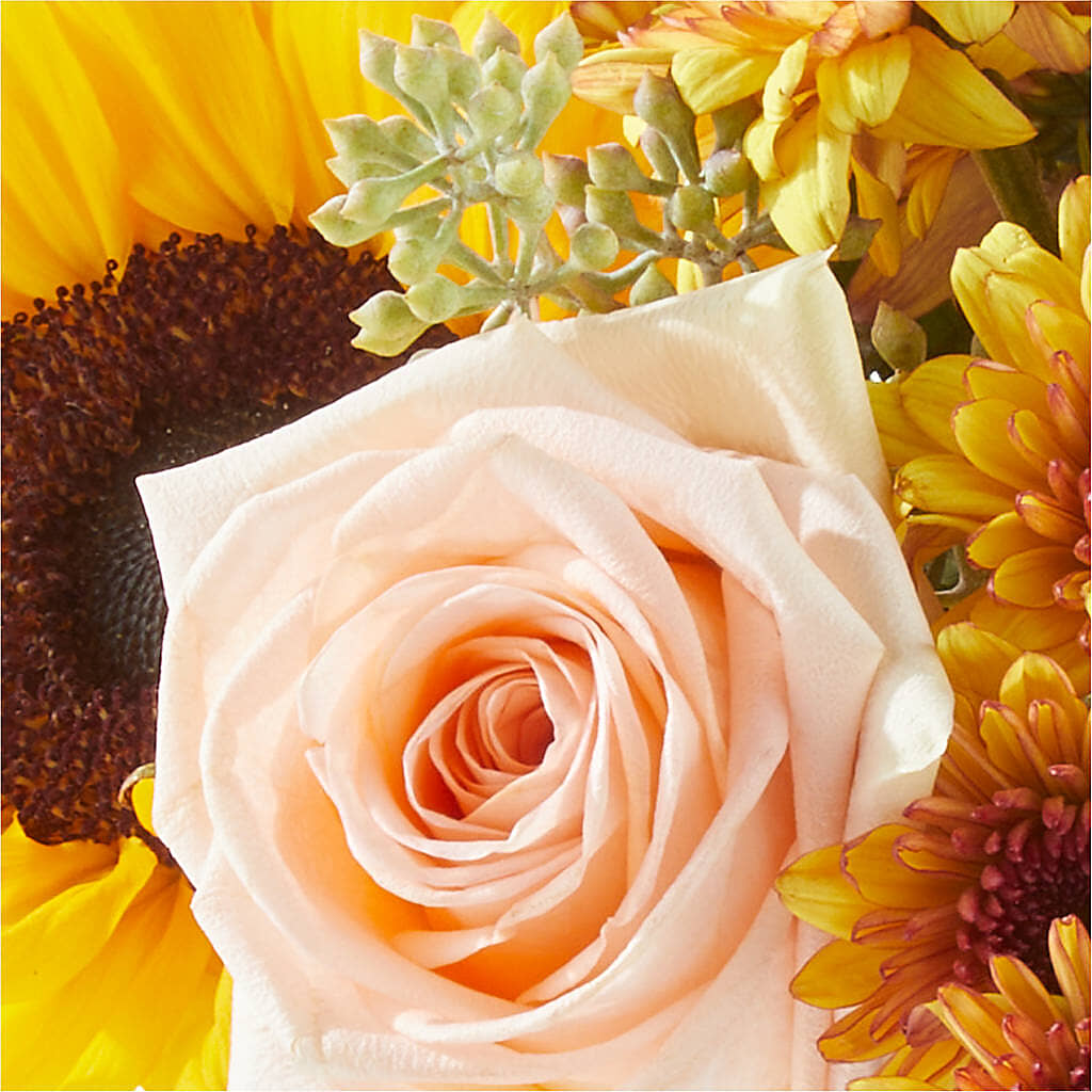 Pumpkin to Talk About Bouquet –  Overnightflowerdelivery.com, Tontitown AR