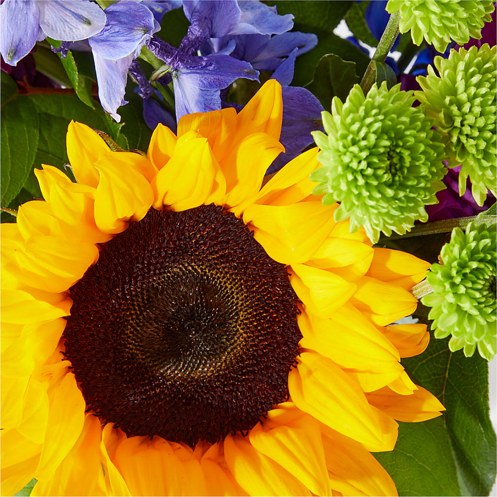 Catching Rays Bouquet –  Overnightflowerdelivery.com, Tontitown AR