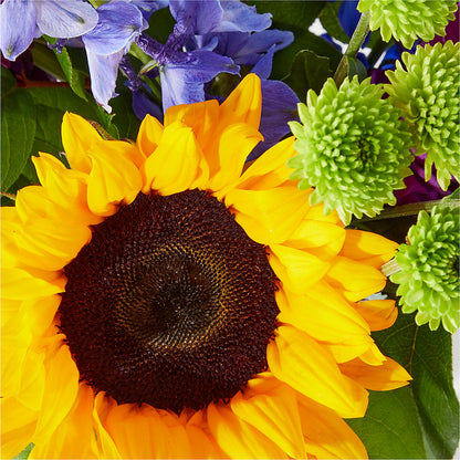 Catching Rays Bouquet –  Overnightflowerdelivery.com, Tontitown AR