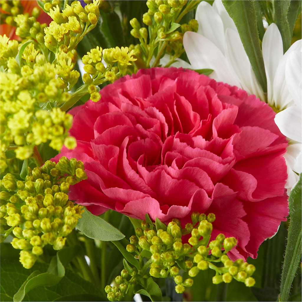Oopsie Daisy Bouquet –  Overnightflowerdelivery.com, Tontitown AR