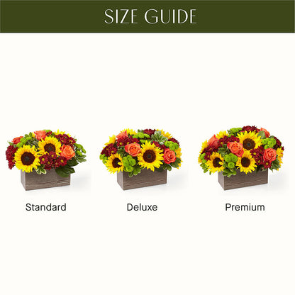 Happy Harvest Garden –  Overnightflowerdelivery.com, Tontitown AR