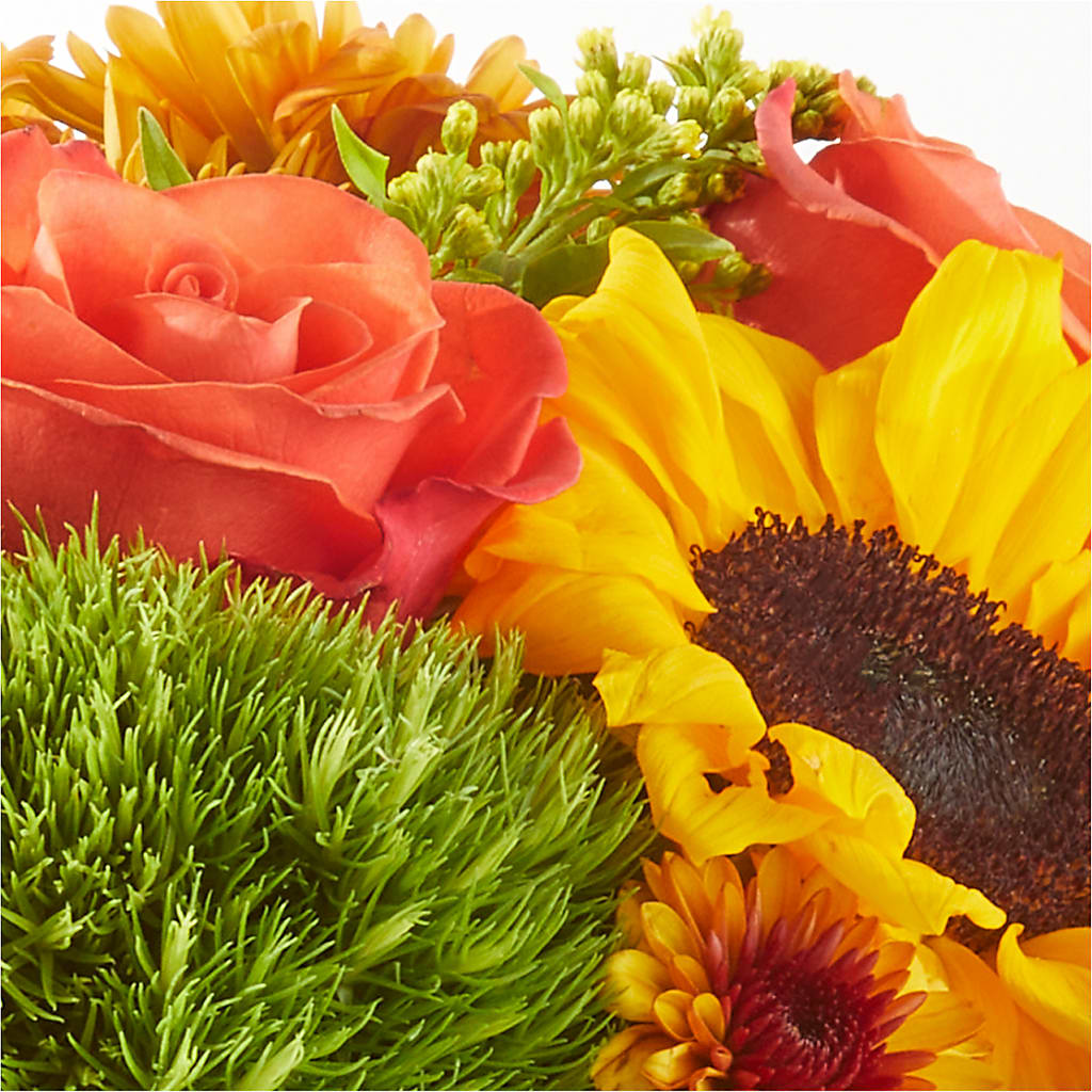 Farmer’s Market Stroll Bouquet –  Overnightflowerdelivery.com, Tontitown AR