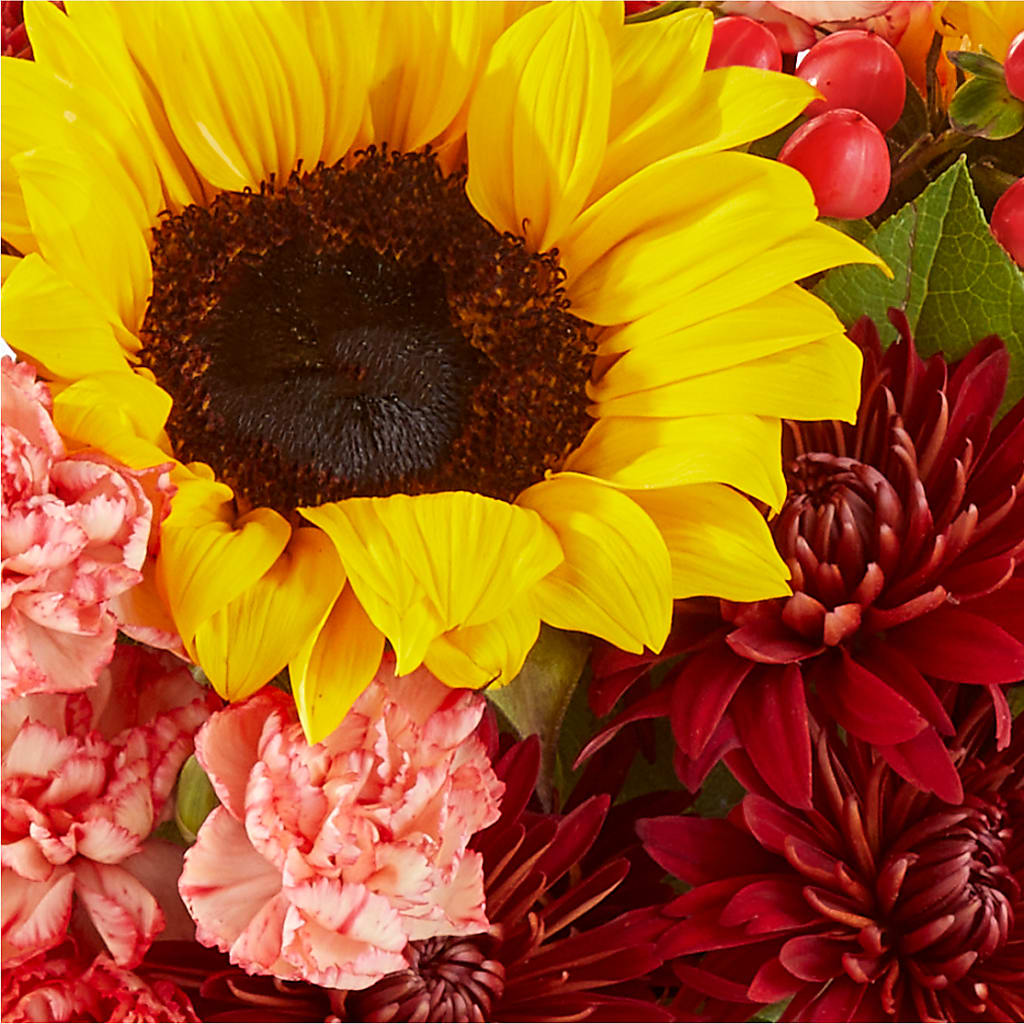 Fresh Cider Bouquet –  Overnightflowerdelivery.com, Tontitown AR