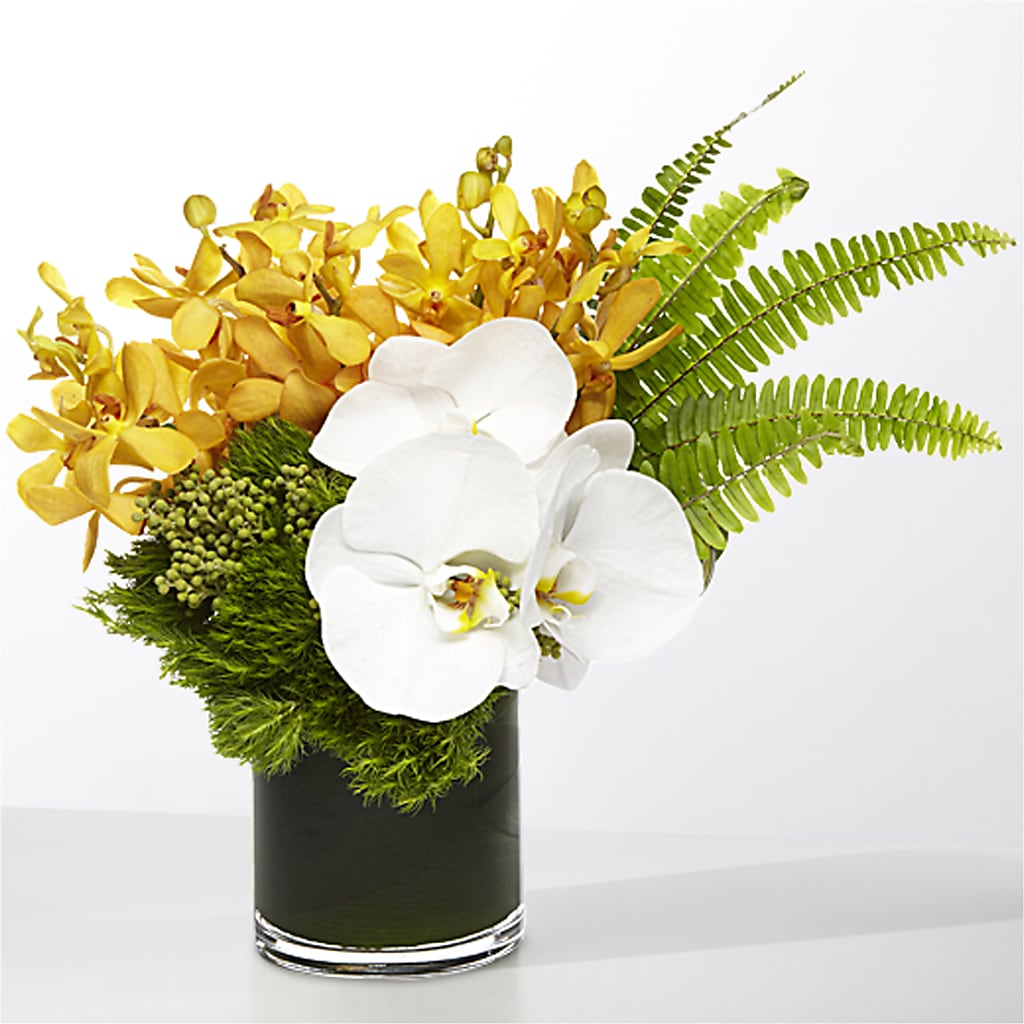 The Tropics –  Overnightflowerdelivery.com, Tontitown AR