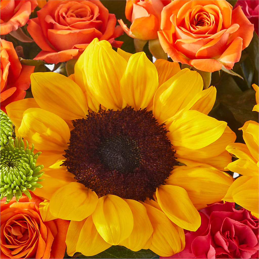 Sun-drenched Blooms Box Bouquet –  Overnightflowerdelivery.com, Tontitown AR