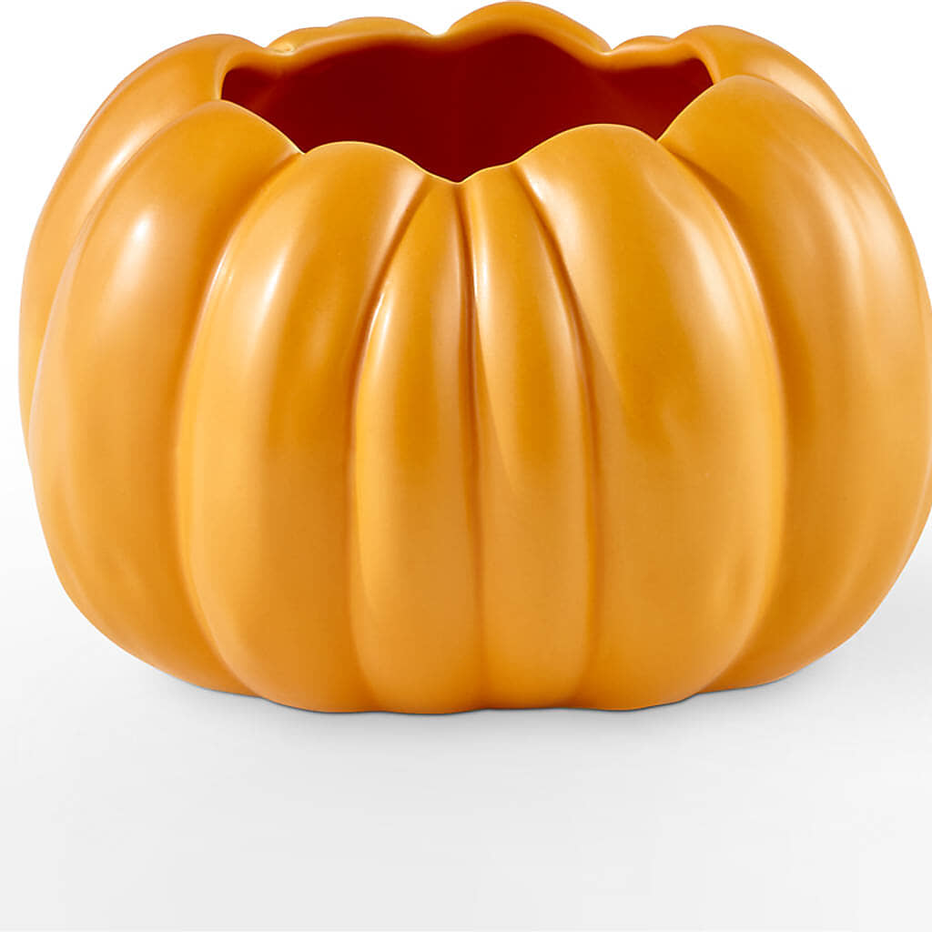 Golden Gourd Pumpkin Bouquet –  Overnightflowerdelivery.com, Tontitown AR