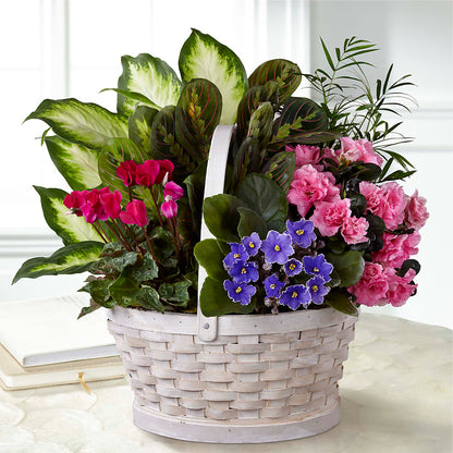 Peaceful Garden Planter –  Overnightflowerdelivery.com, Tontitown AR