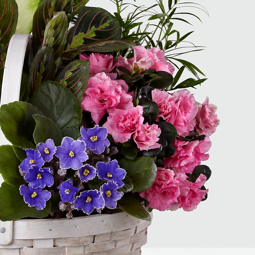 Peaceful Garden Planter –  Overnightflowerdelivery.com, Tontitown AR