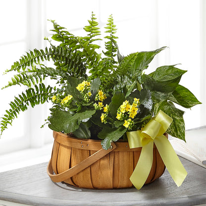 Always Dear Dishgarden –  Overnightflowerdelivery.com, Tontitown AR