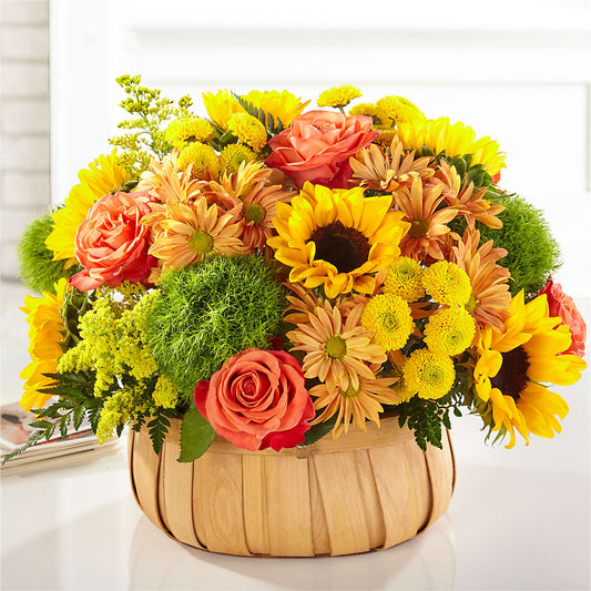 Harvest Sunflower Basket –  Overnightflowerdelivery.com, Tontitown AR
