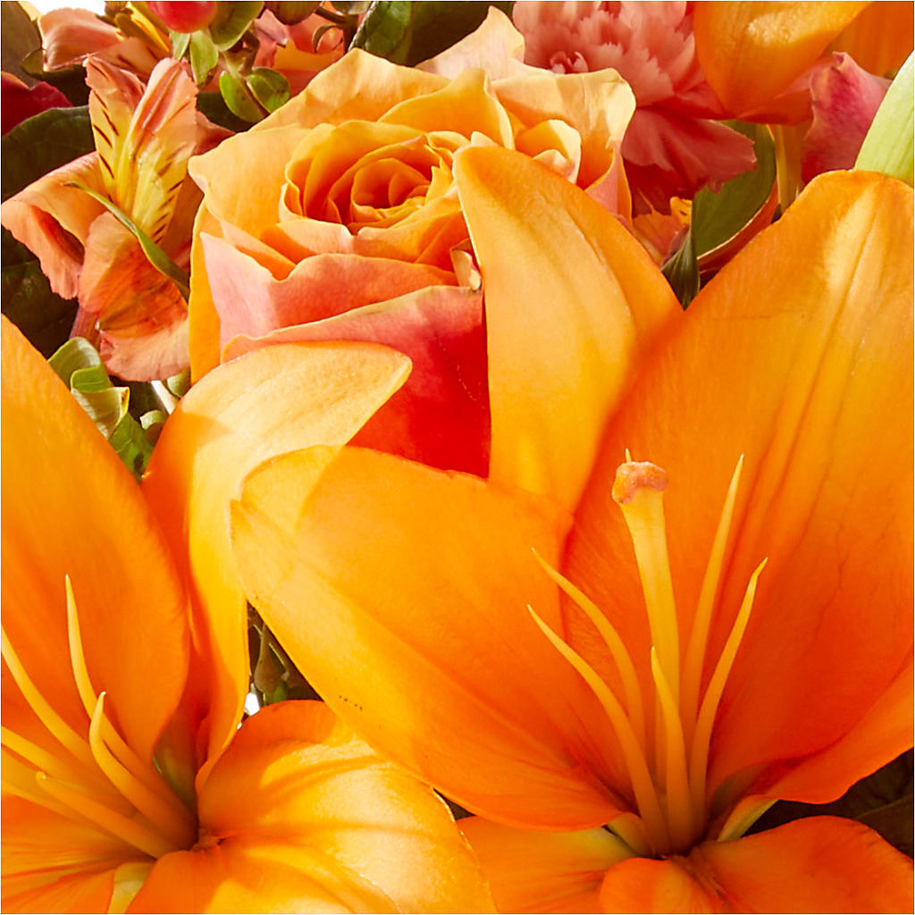 Afternoon Light Bouquet –  Overnightflowerdelivery.com, Tontitown AR