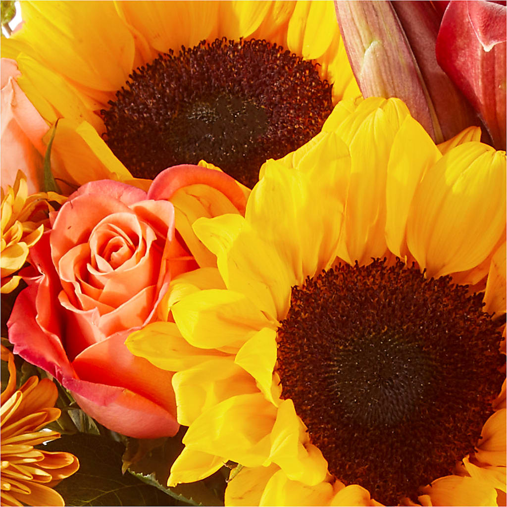 Acorn Lane Bouquet –  Overnightflowerdelivery.com, Tontitown AR