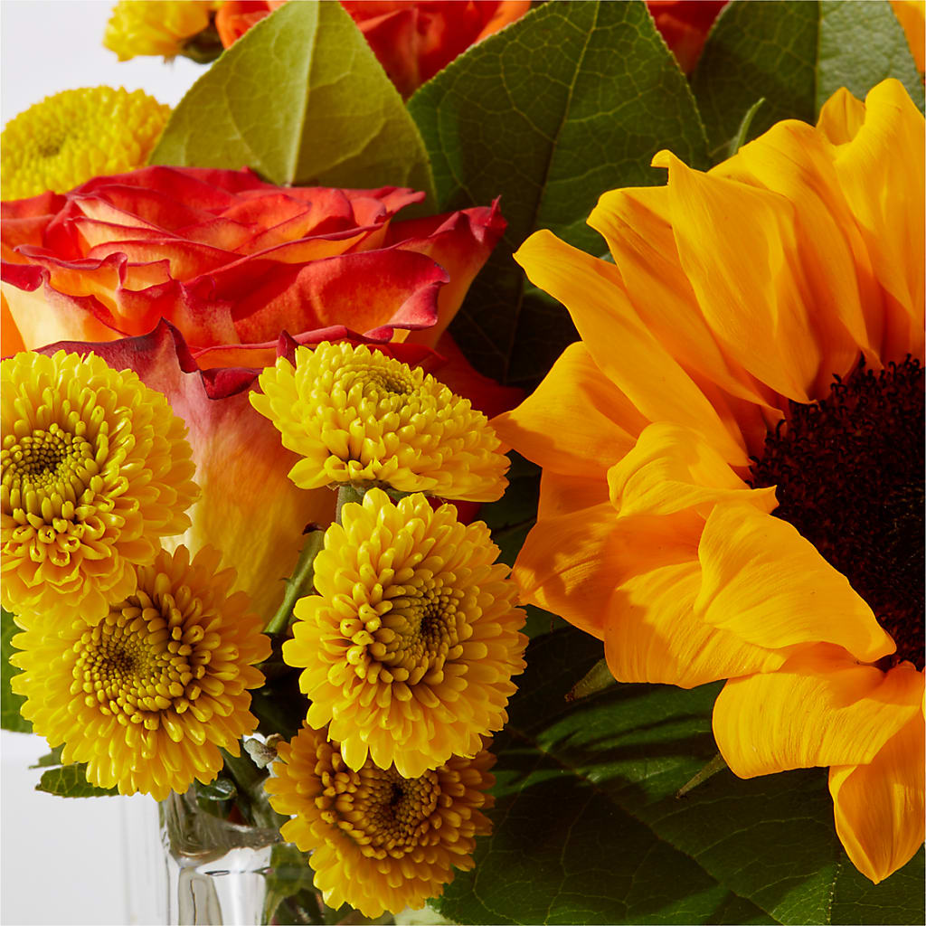 Picnic in the Park Bouquet –  Overnightflowerdelivery.com, Tontitown AR