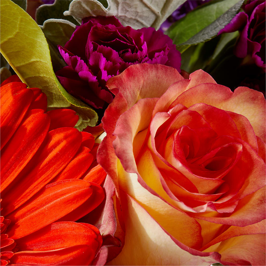 Sangria Bouquet –  Overnightflowerdelivery.com, Tontitown AR