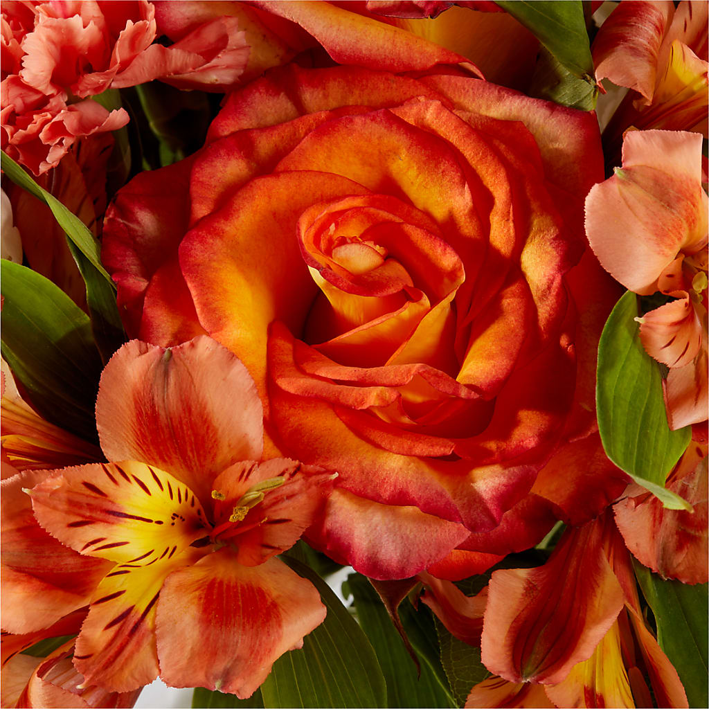 Apricot Glow Bouquet –  Overnightflowerdelivery.com, Tontitown AR