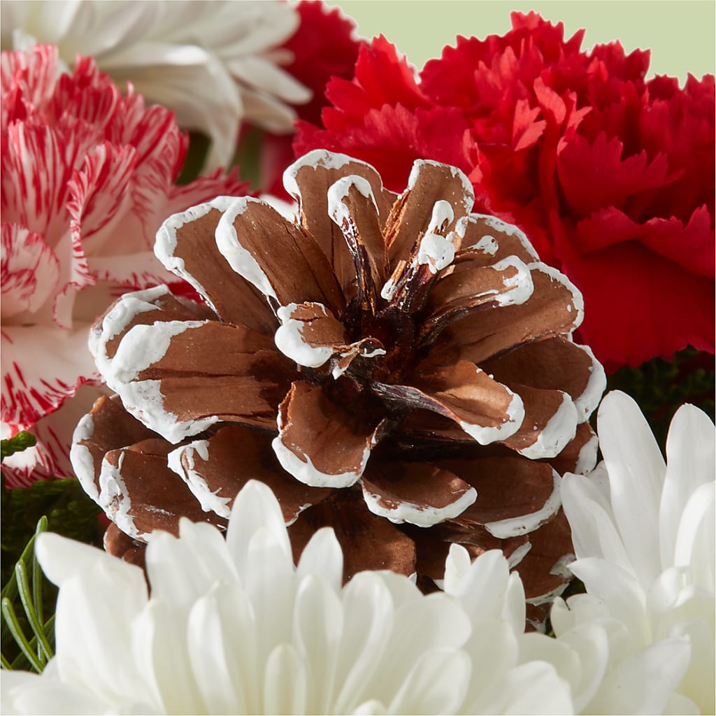 Candy Cane Lane Bouquet –  Overnightflowerdelivery.com, Tontitown AR