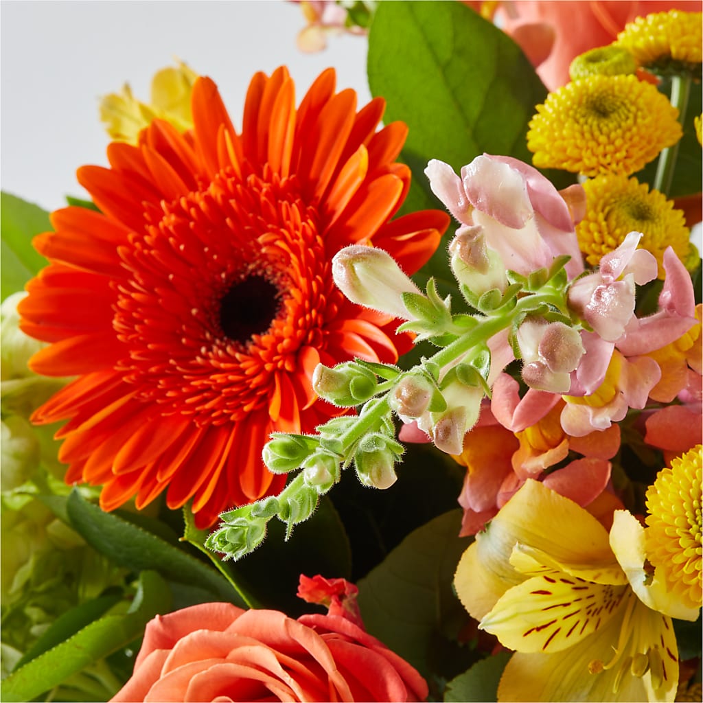 Autumn Sunshine Bouquet –  Overnightflowerdelivery.com, Tontitown AR