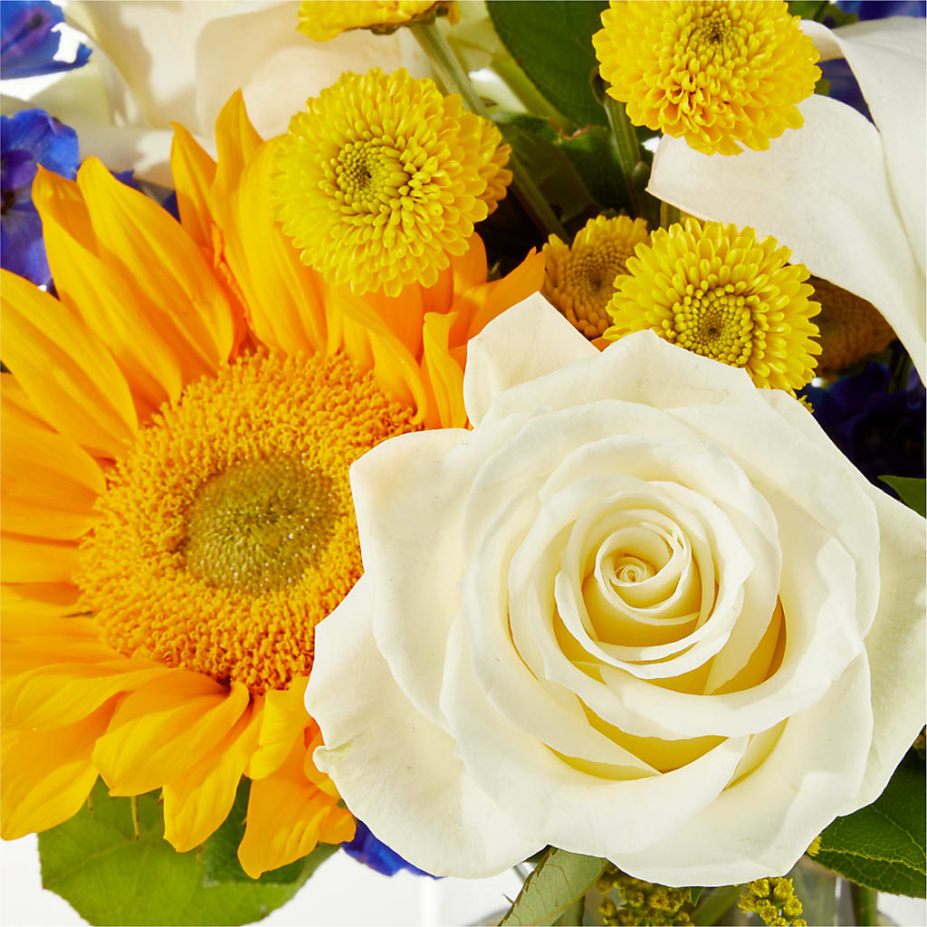 Stargazing Bouquet –  Overnightflowerdelivery.com, Tontitown AR
