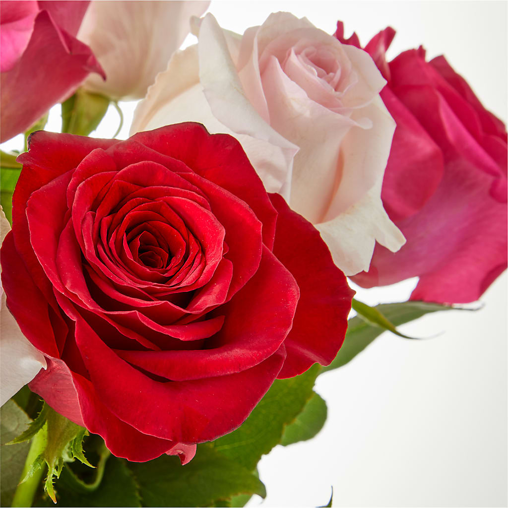 Charming Rose Bouquet –  Overnightflowerdelivery.com, Tontitown AR